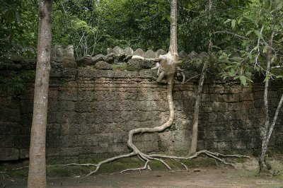 06 Ta Prohm