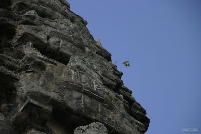 IMG_3282 Angkor Wat