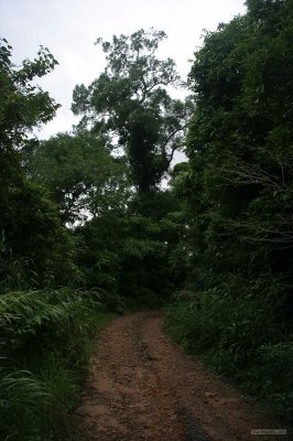 15 Kampot and Bokor Hill