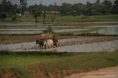 IMG_3830 Countryside