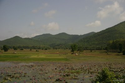 IMG_3834 Countryside