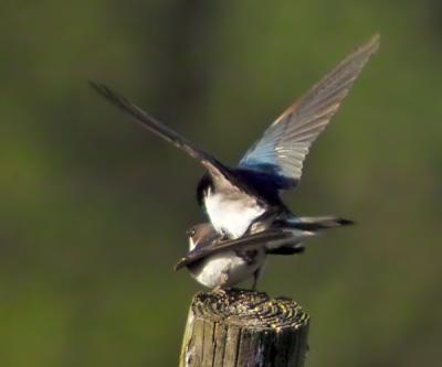 IMG32056.jpg