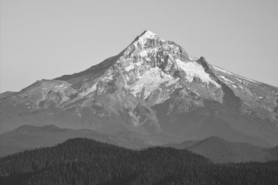Mt. Hood