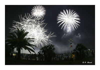 Feux du 14 juillet 2006