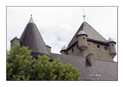 Les toits du chteau d'Aubenas