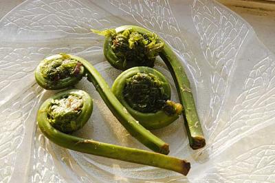 g4/28/34828/3/60347230.fiddleheads.jpg