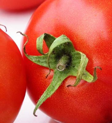g4/28/34828/3/60347238.tomato.jpg