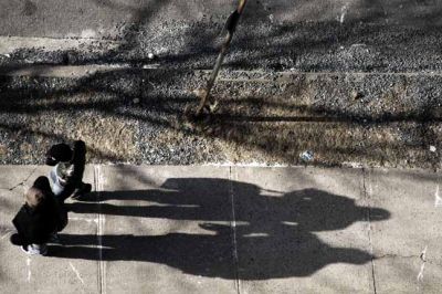 late afternoon shadows