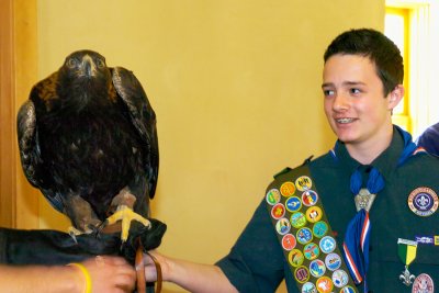 Zach with Golden Eagle