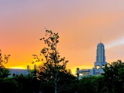 Golden Glow