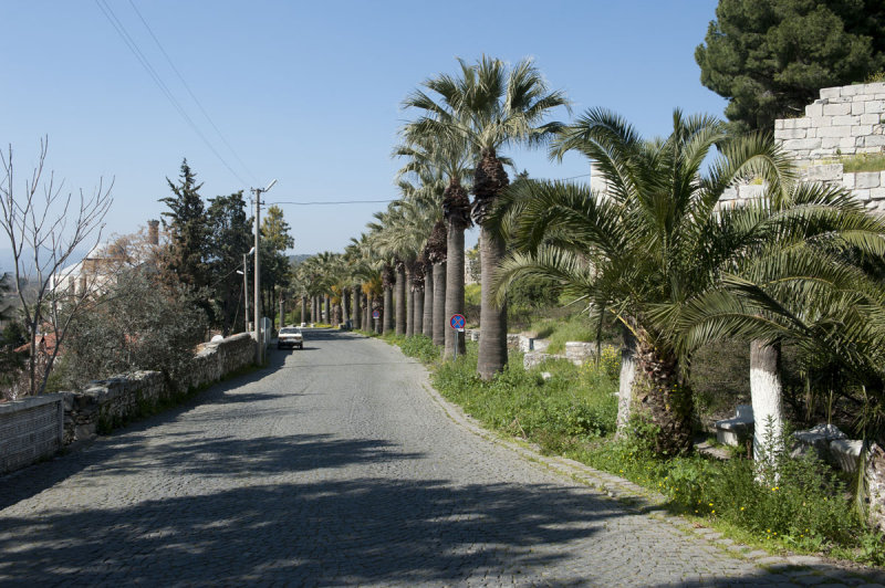 Selcuk March 2011 3176.jpg