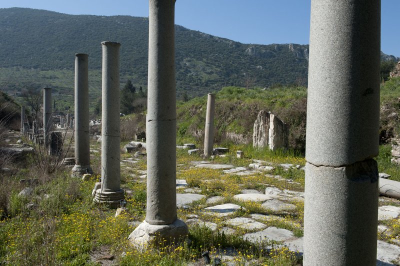 Ephesus March 2011 3540.jpg