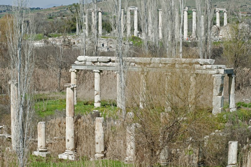 Aphrodisias March 2011 4384.jpg