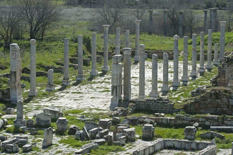 Aphrodisias March 2011 4387.jpg