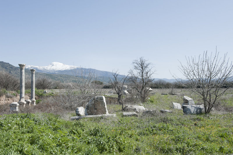 Aphrodisias March 2011 4410.jpg