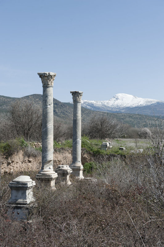 Aphrodisias March 2011 4411.jpg