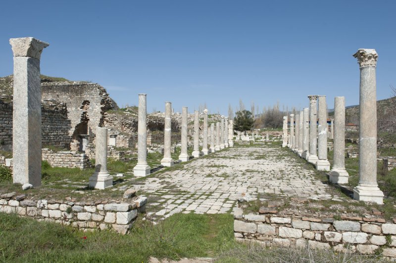 Aphrodisias March 2011 4418.jpg