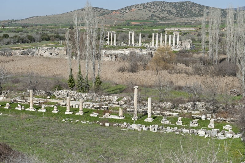 Aphrodisias March 2011 4447.jpg