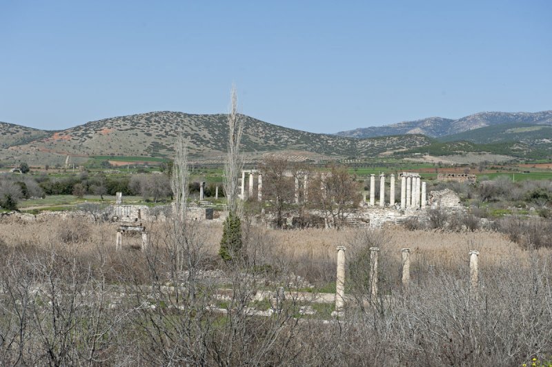 Aphrodisias March 2011 4448.jpg