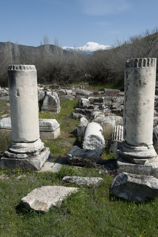 Aphrodisias March 2011 4462.jpg