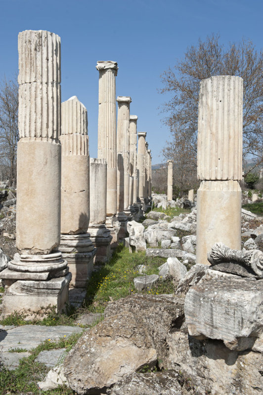 Aphrodisias March 2011 4463.jpg