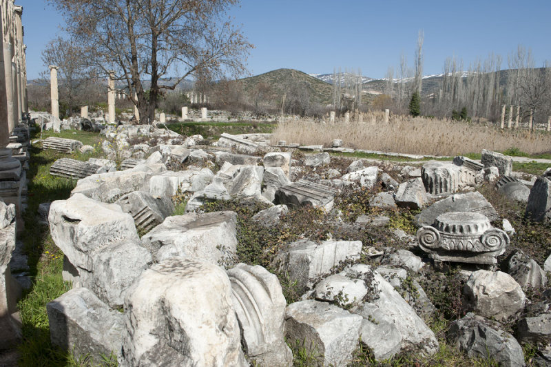 Aphrodisias March 2011 4465.jpg