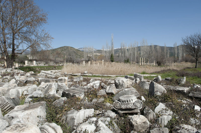 Aphrodisias March 2011 4467.jpg