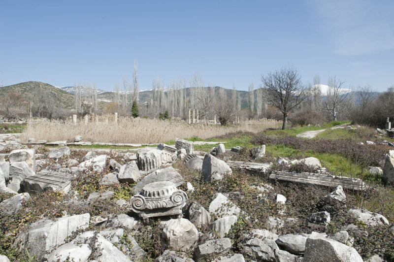 Aphrodisias March 2011 4468.jpg