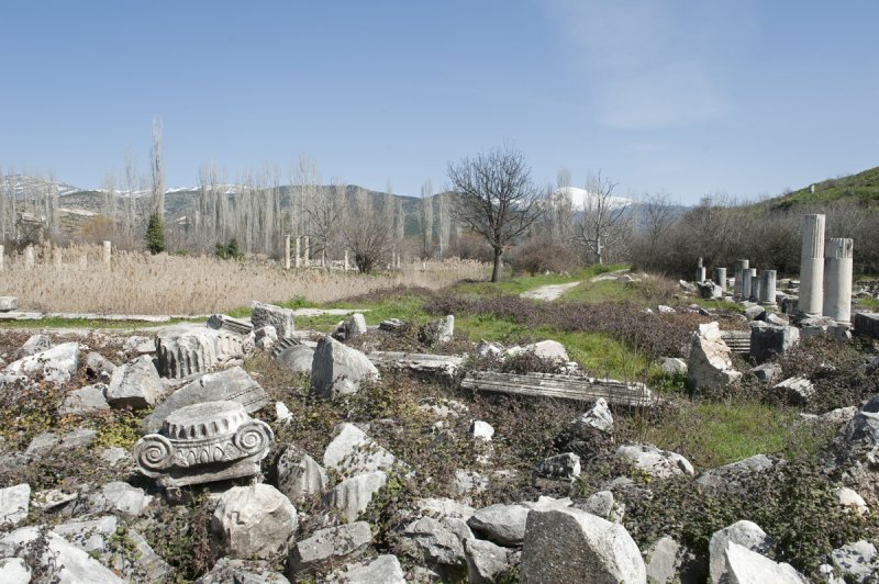 Aphrodisias March 2011 4469.jpg