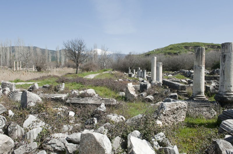 Aphrodisias March 2011 4470.jpg