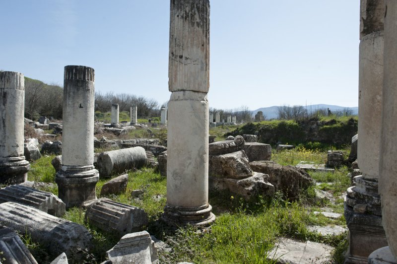 Aphrodisias March 2011 4474.jpg