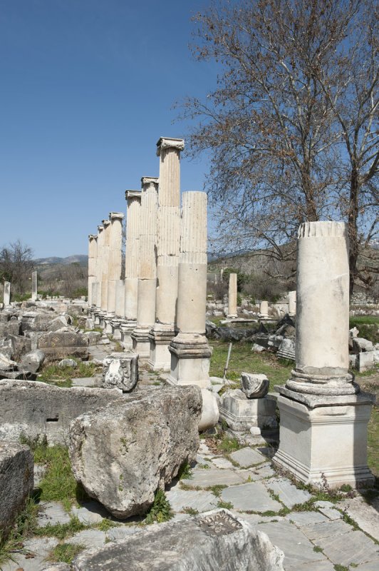 Aphrodisias March 2011 4476.jpg