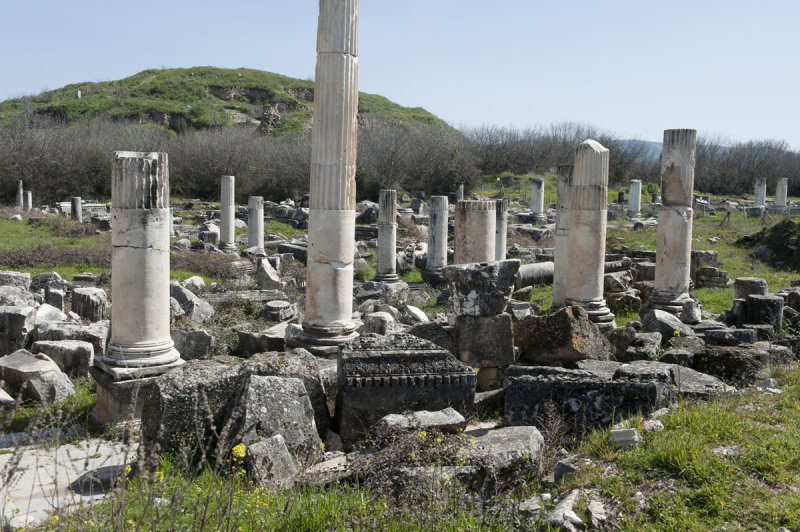 Aphrodisias March 2011 4480.jpg