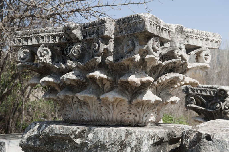 Aphrodisias March 2011 4484.jpg