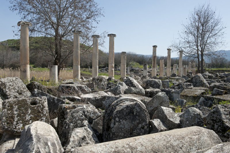 Aphrodisias March 2011 4485.jpg