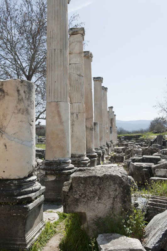 Aphrodisias March 2011 4489.jpg