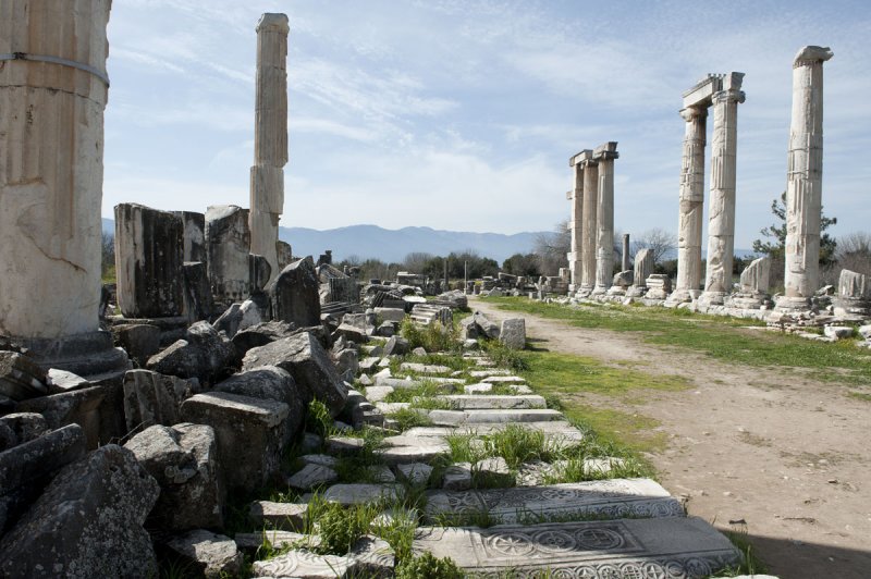 Aphrodisias March 2011 4533.jpg