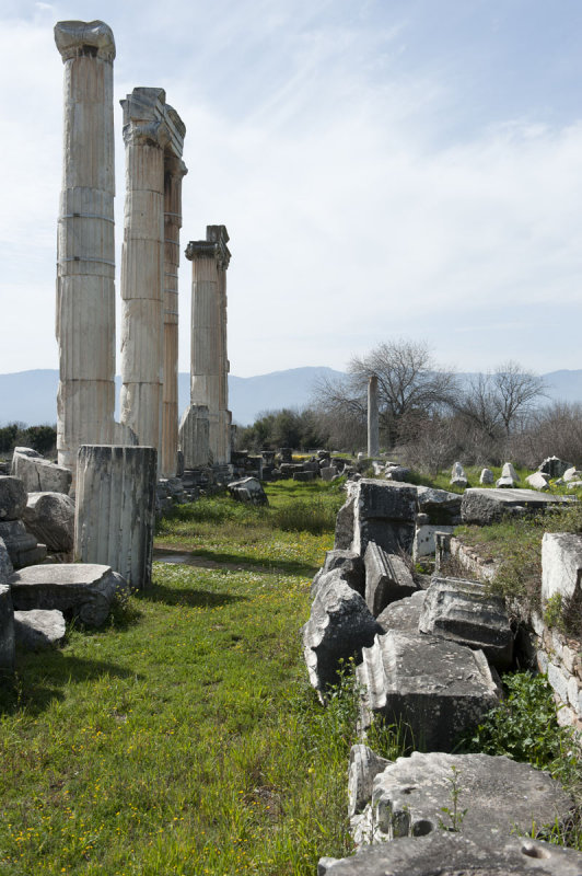 Aphrodisias March 2011 4542.jpg