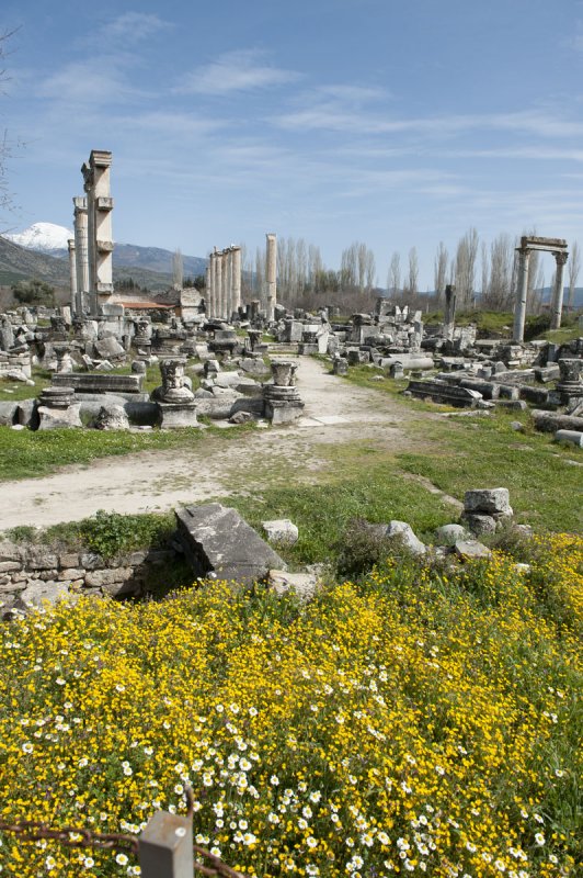 Aphrodisias March 2011 4548.jpg