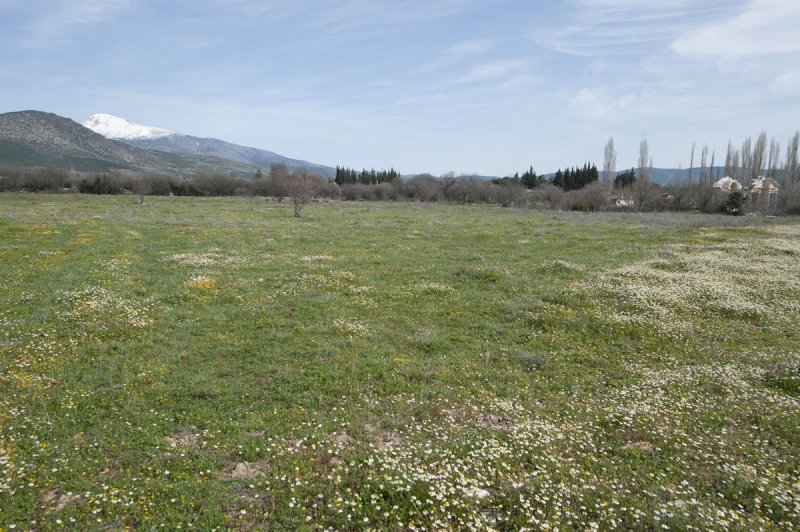 Aphrodisias March 2011 4580.jpg