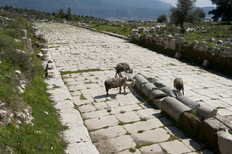 Xanthos March 2011 5283.jpg