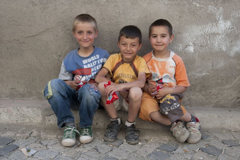 Erzurum june 2011 8640.jpg