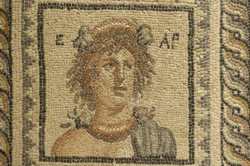 Gaziantep Zeugma Museum December 2011 2033.jpg