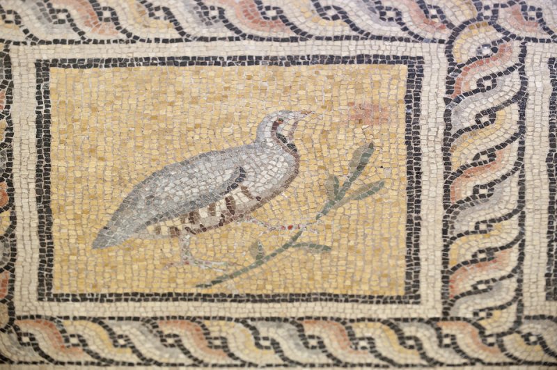 Gaziantep Zeugma Museum December 2011 2040.jpg