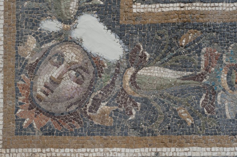 Antakya Museum December 2011 2521.jpg