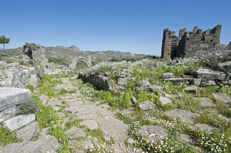 Aspendos march 2012 4690.jpg