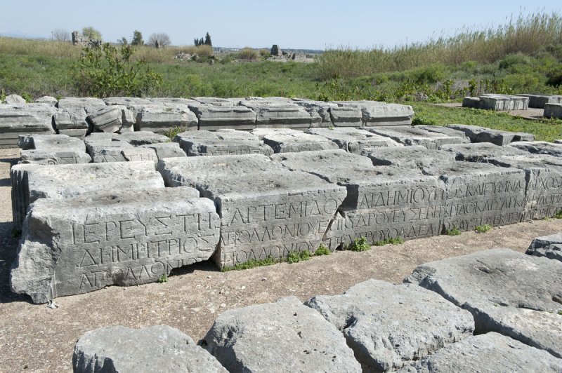 Perge march 2012 3931.jpg