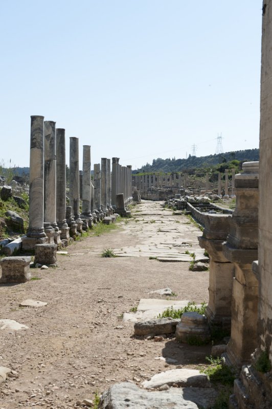 Perge march 2012 3945.jpg