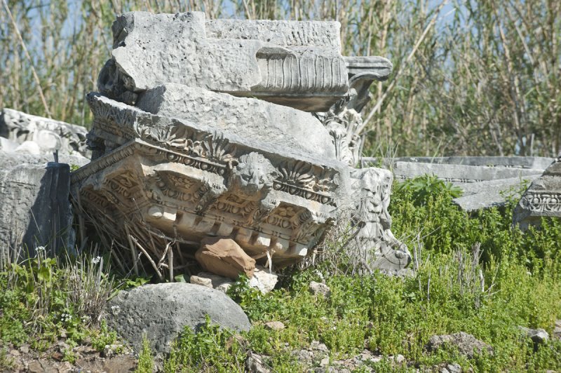 Perge march 2012 3961.jpg