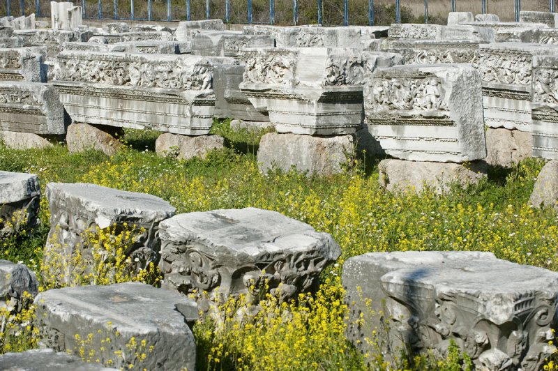 Perge march 2012 4054.jpg